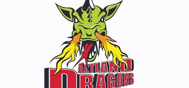 Artland Dragons - Bundesliga